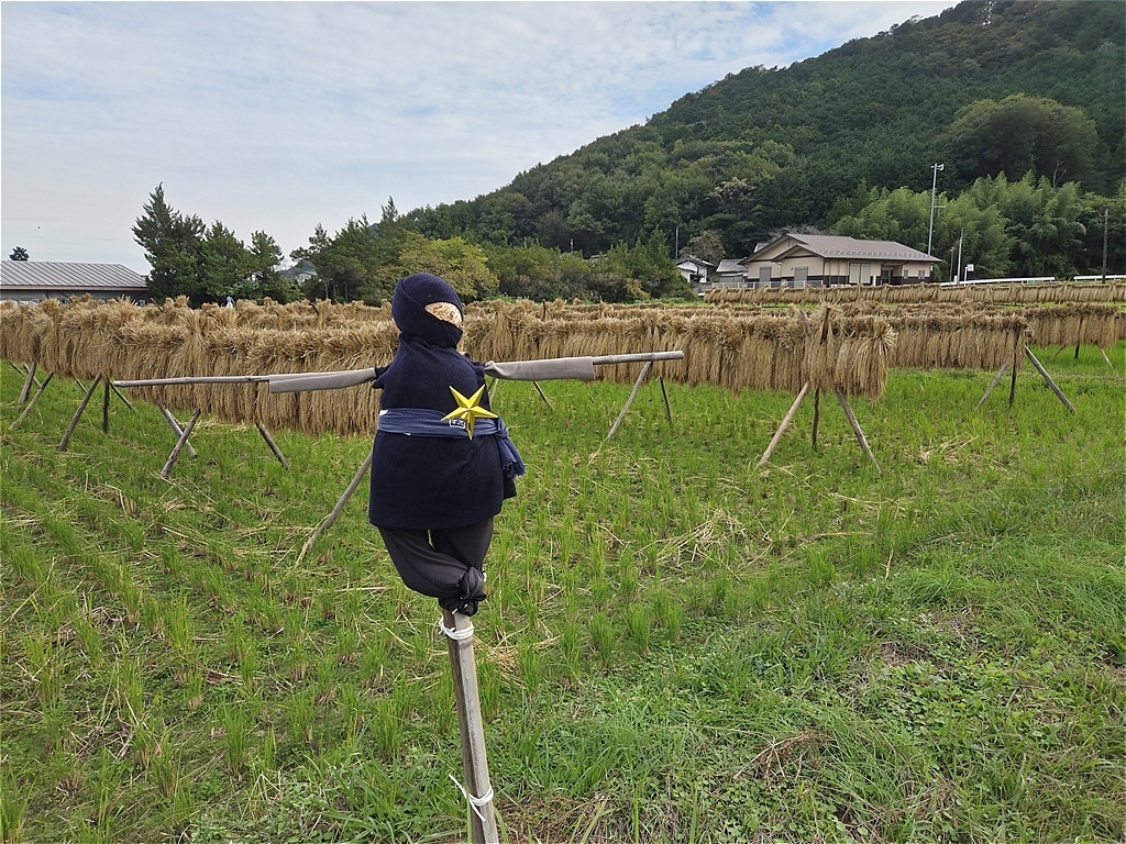 案山子も疲れたみたい？: のぐちOJISANの気ままな記録