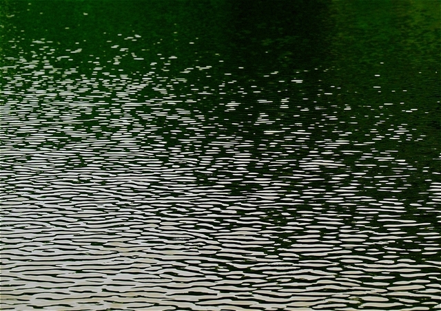 s-ZZ9_1157_17647.jpg