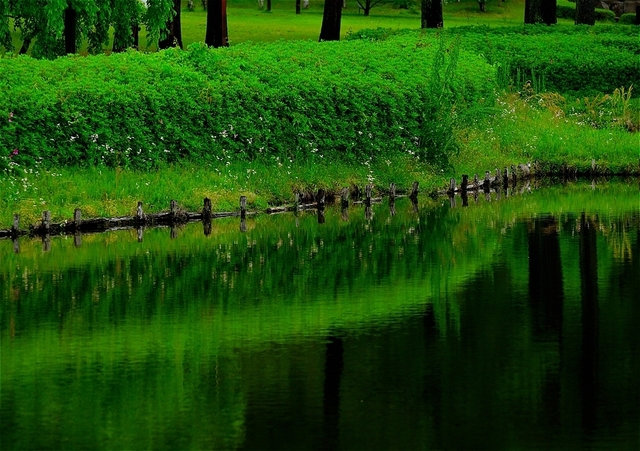 s-ZZ9_1159_17648.jpg