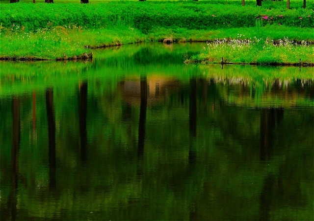 s-ZZ9_1163_17649.jpg