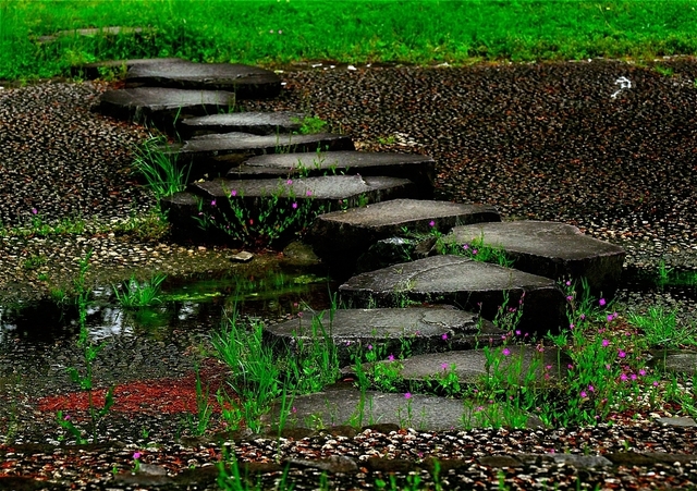 s-ZZ9_1172_17654.jpg